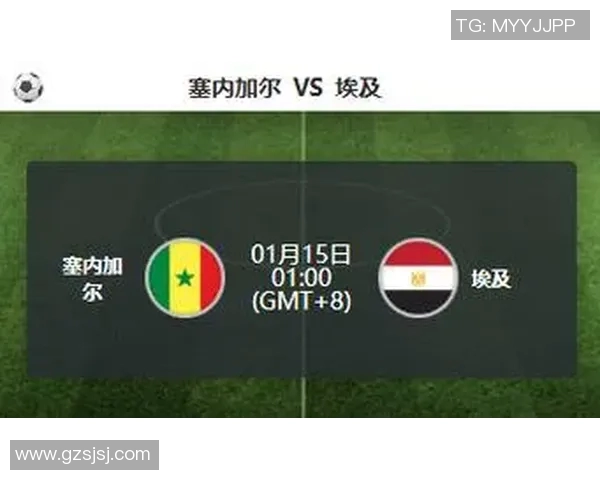 非洲杯激战埃及对阵多哥球迷期待精彩对决与历史交锋 非洲杯激战埃及对阵多哥球迷期待精彩对决与历史交锋