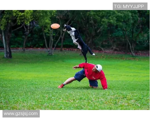 飞盘耐力排行榜新鲜出炉广州飞盘队稳居榜首引领潮流