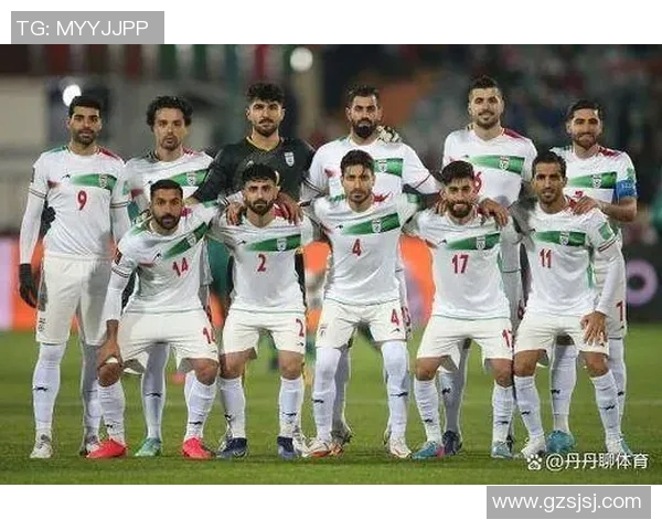 伊朗与尼日利亚激战正酣比分揭晓引发热议